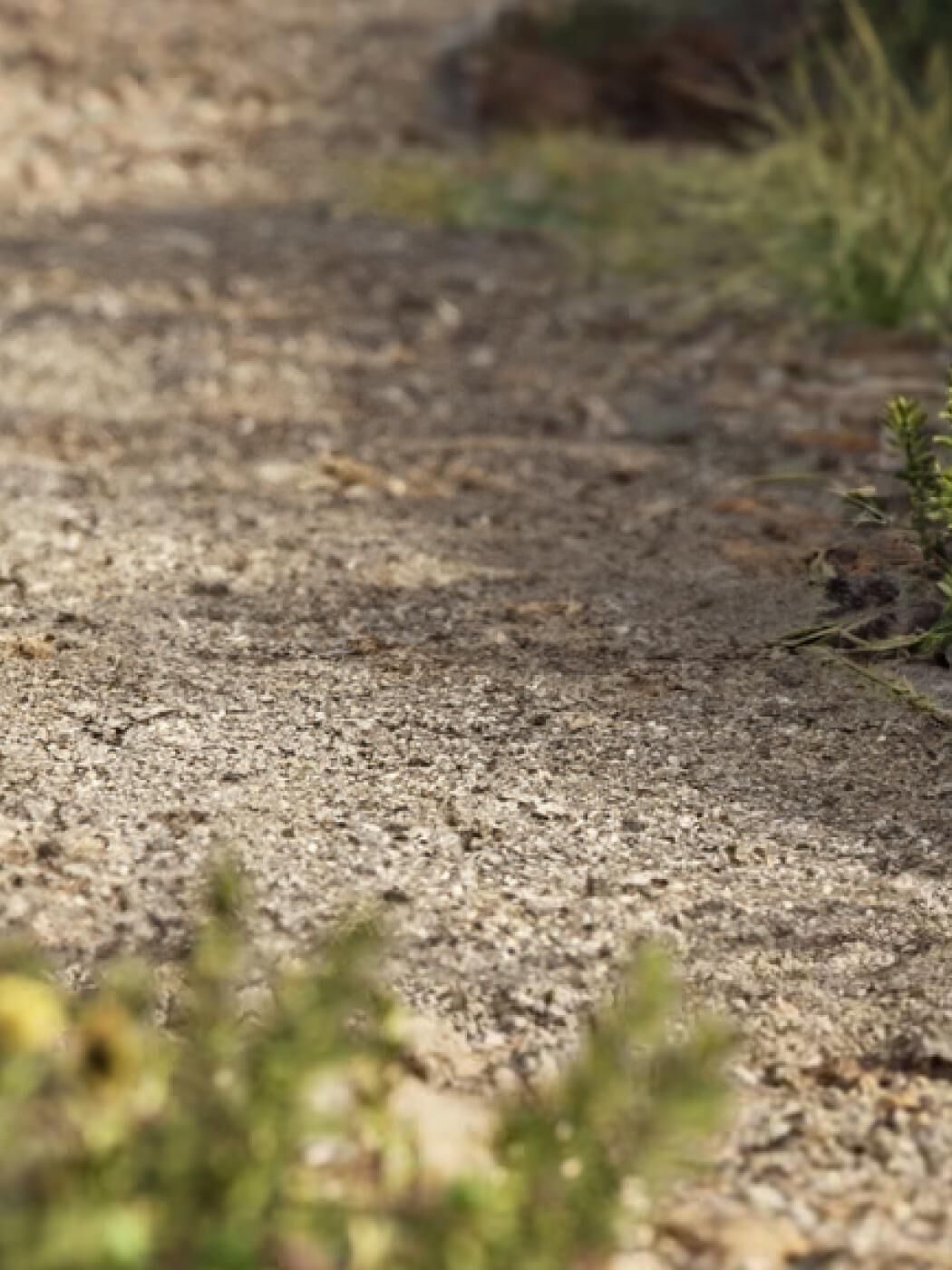 Image without a name